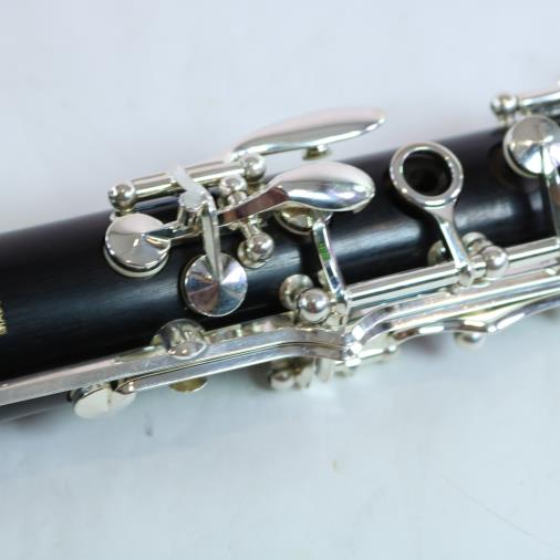 Buffet R13 Professional Bb Clarinet SILVER KEYS WOW!