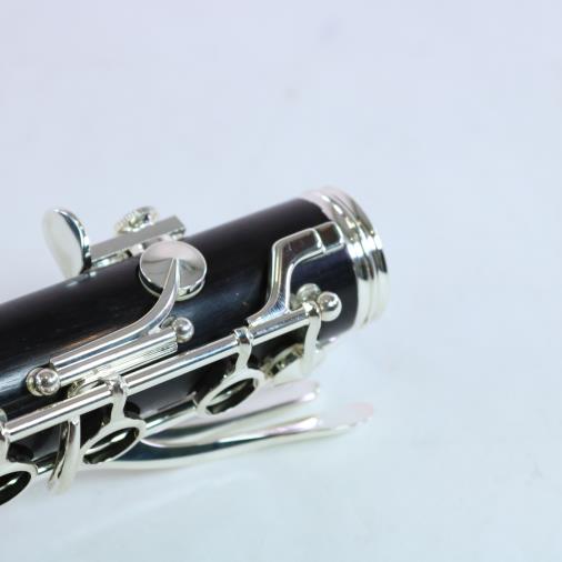 Buffet R13 Professional Bb Clarinet SILVER KEYS WOW!
