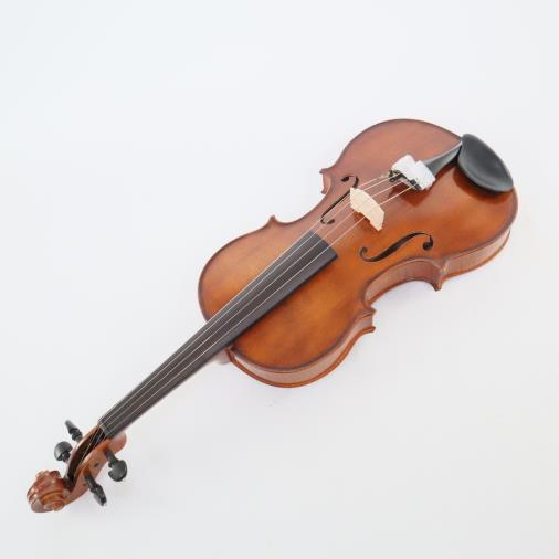 Glaesel VAG3E16  Professional 16 Inch Viola